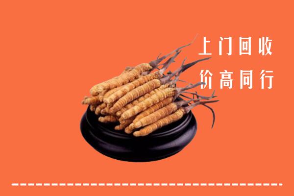 高价求购：北京房山区回收散虫草