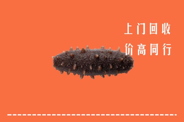 高价求购：北京房山区回收海参