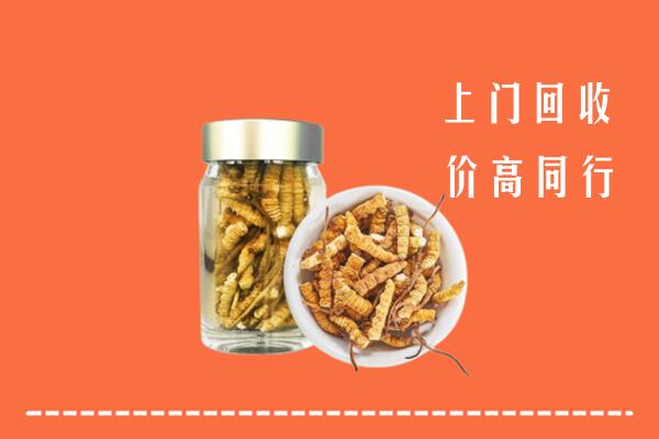 北京房山区回收冬虫夏草